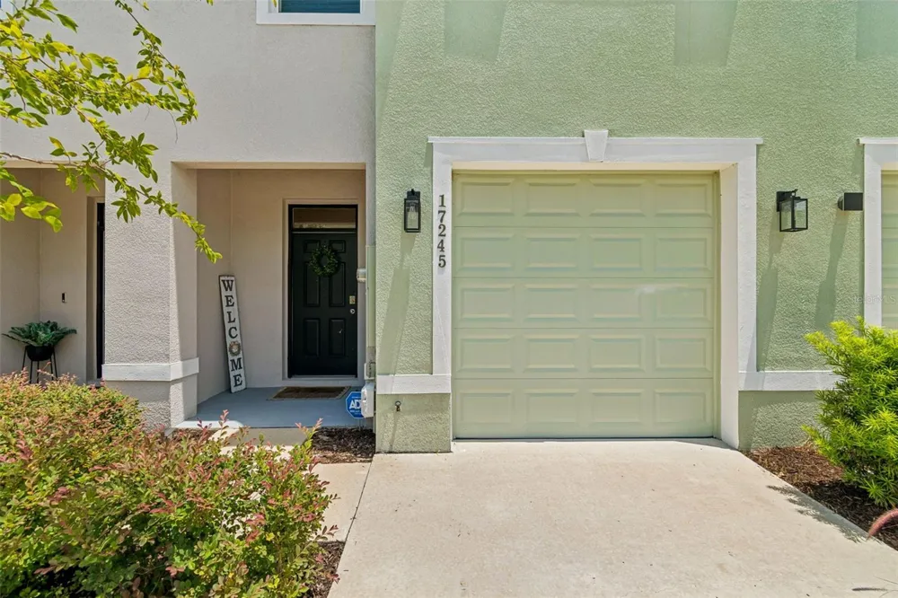 17245 AMBER ASPEN WAY Land O Lakes, FL 34638