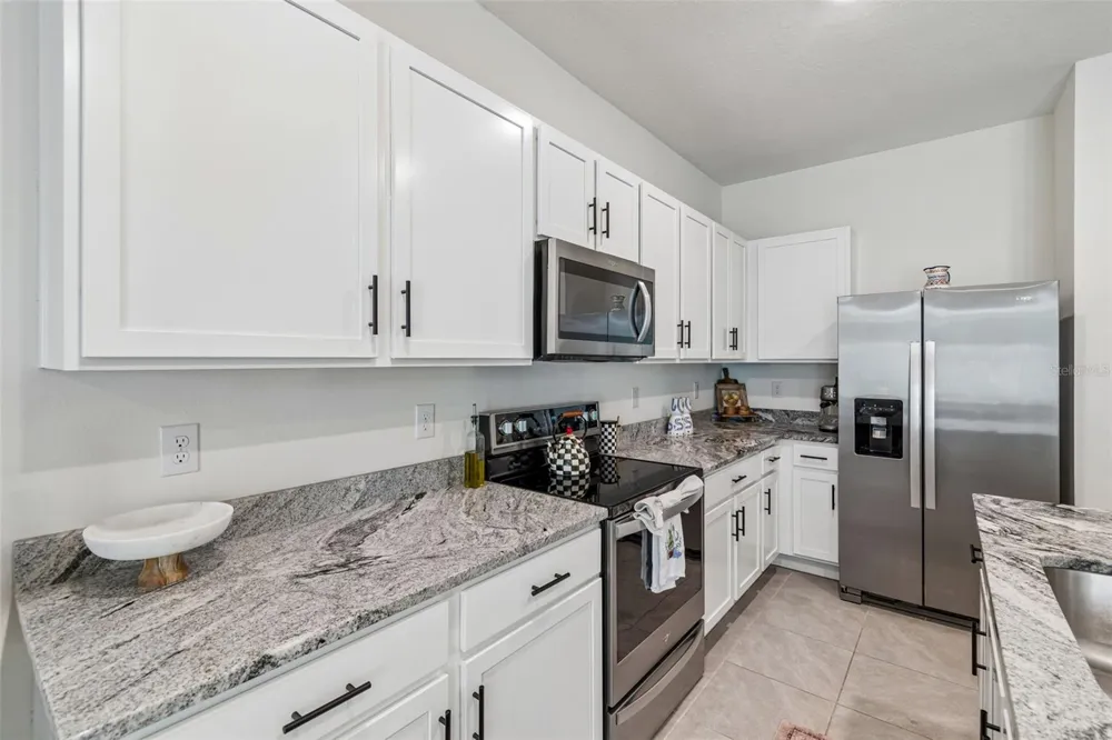 17245 AMBER ASPEN WAY Land O Lakes, FL 34638