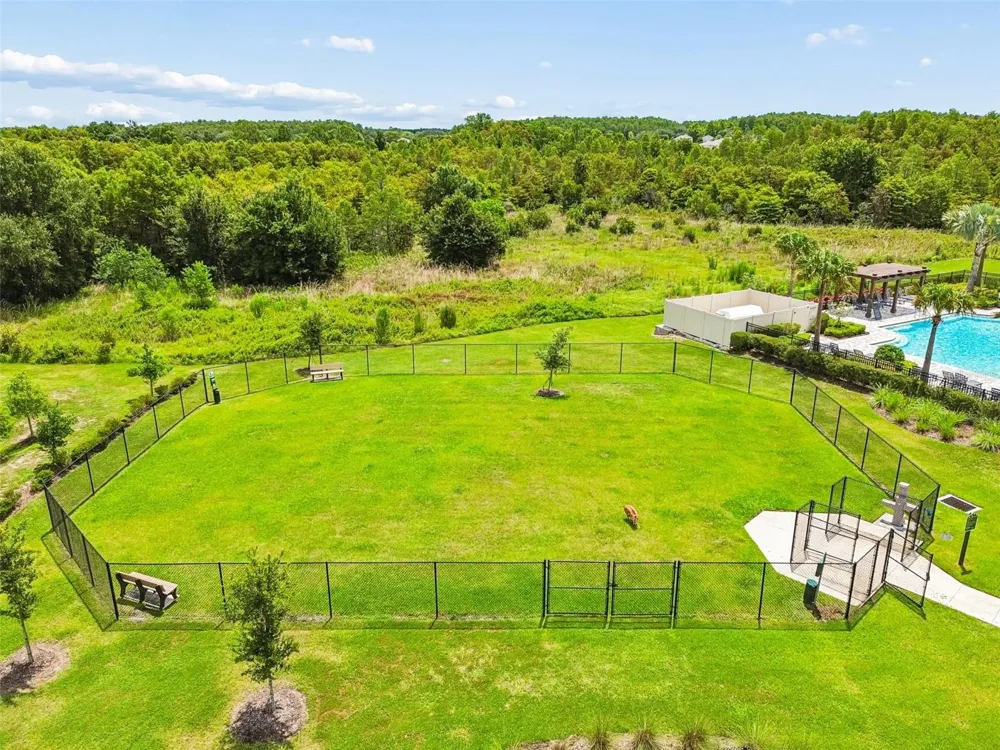 17245 AMBER ASPEN WAY Land O Lakes, FL 34638
