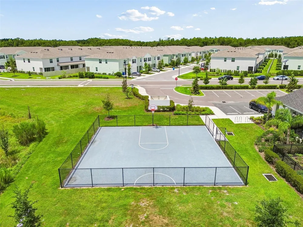 17245 AMBER ASPEN WAY Land O Lakes, FL 34638