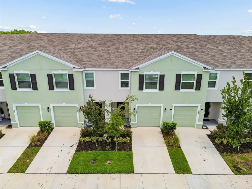 17245 AMBER ASPEN WAY Land O Lakes, FL 34638