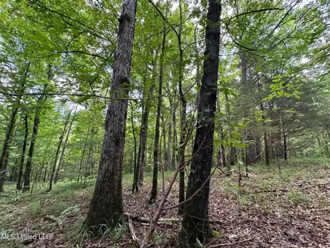 1 Rockport Road