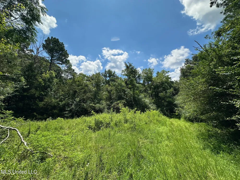 1 Rockport Road Lexington, MS 39095