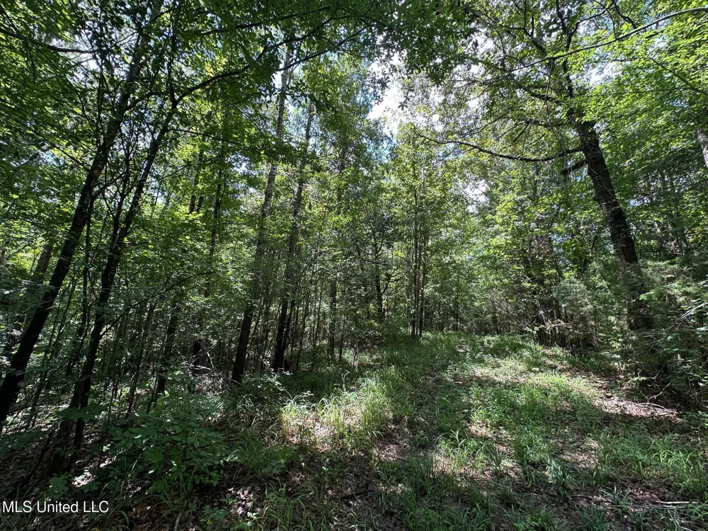 1 Rockport Road Lexington, MS 39095