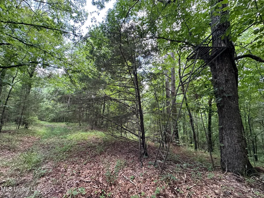 1 Rockport Road Lexington, MS 39095
