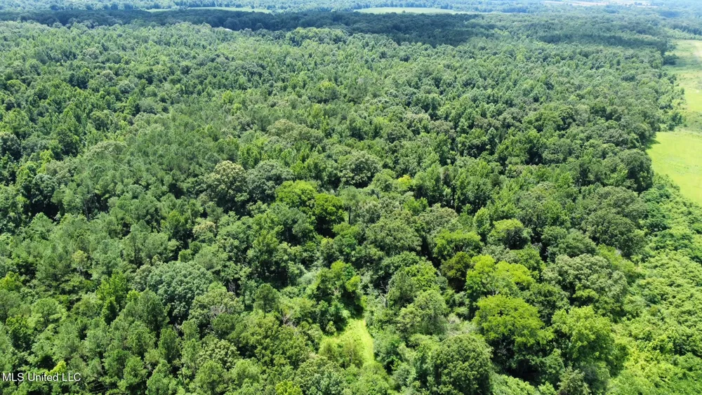 1 Rockport Road Lexington, MS 39095