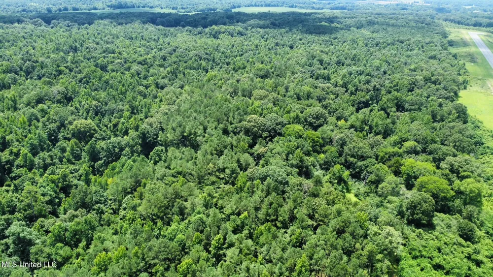 1 Rockport Road Lexington, MS 39095