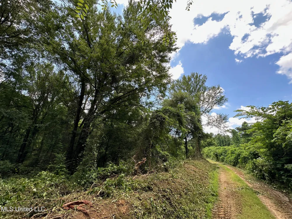 1 Rockport Road Lexington, MS 39095