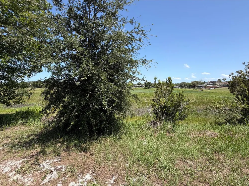 5540 BAFFIN CIRCLE Spring Hill, FL 34606