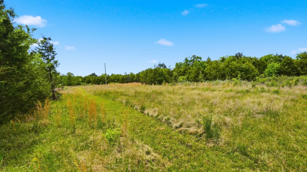 3630 W Trimble Rd Milton, TN 37118