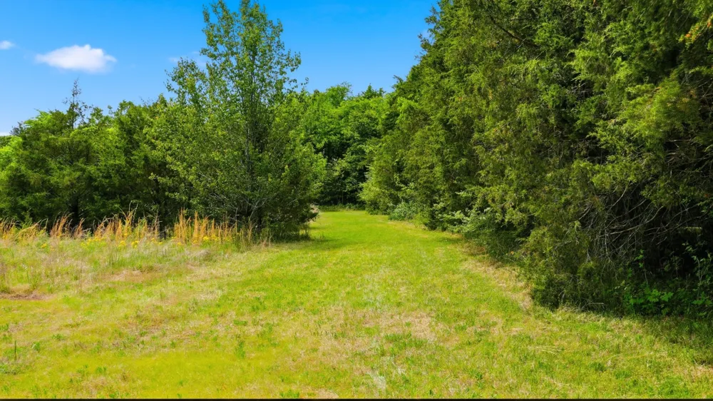 3630 W Trimble Rd Milton, TN 37118