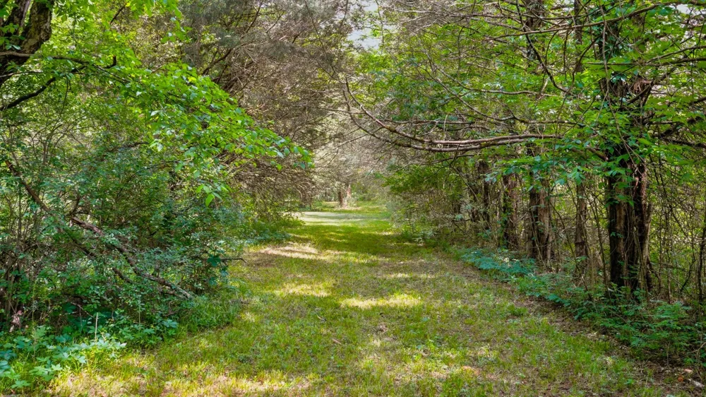 3630 W Trimble Rd Milton, TN 37118