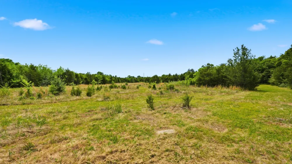 3630 W Trimble Rd Milton, TN 37118