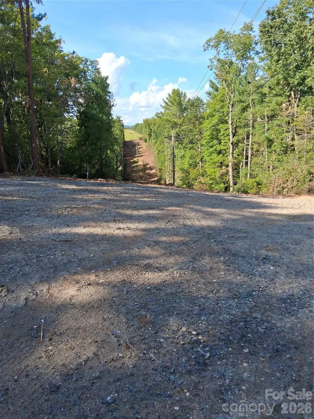 tbd Gus Peeler Road #1 Connelly Springs, NC 28612