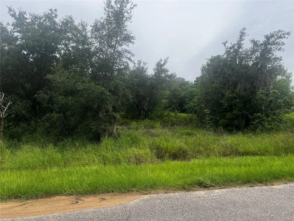 2370 LAKE EASY ROAD Babson Park, FL 33827