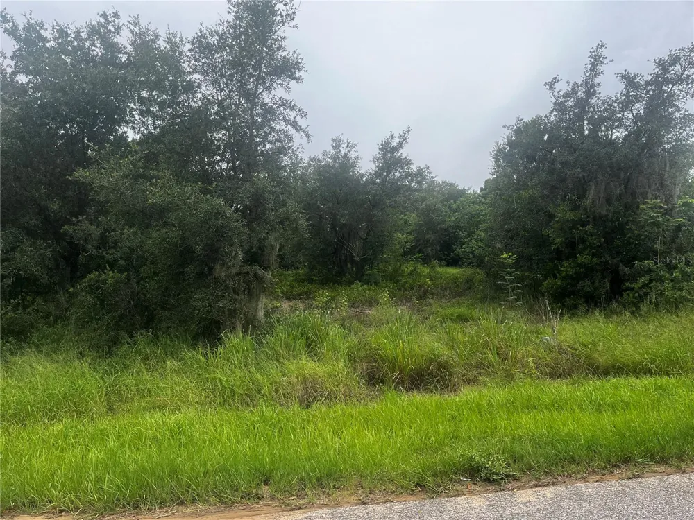 2370 LAKE EASY ROAD Babson Park, FL 33827
