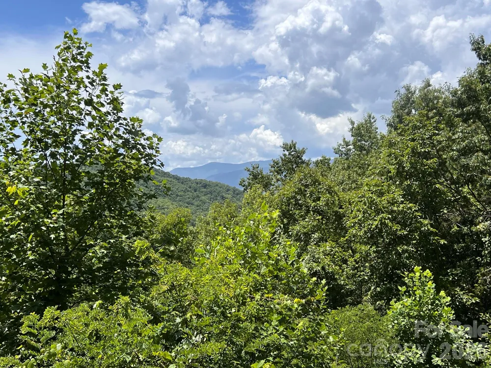 Lot 14 Fontana Ridge Road Bryson City, NC 28713