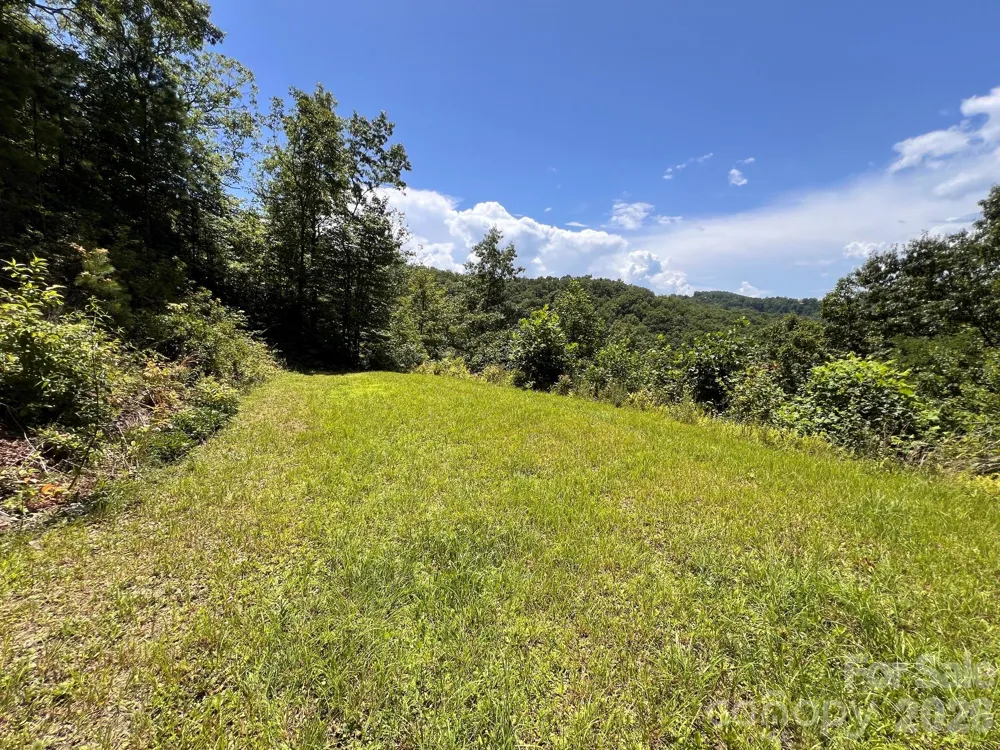 Lot 14 Fontana Ridge Road Bryson City, NC 28713