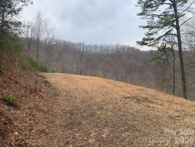 Lot 14 Fontana Ridge Road Bryson City, NC 28713