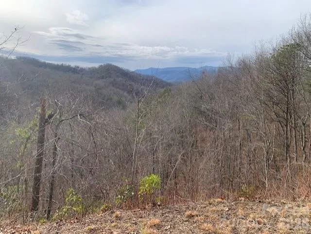 Lot 14 Fontana Ridge Road Bryson City, NC 28713