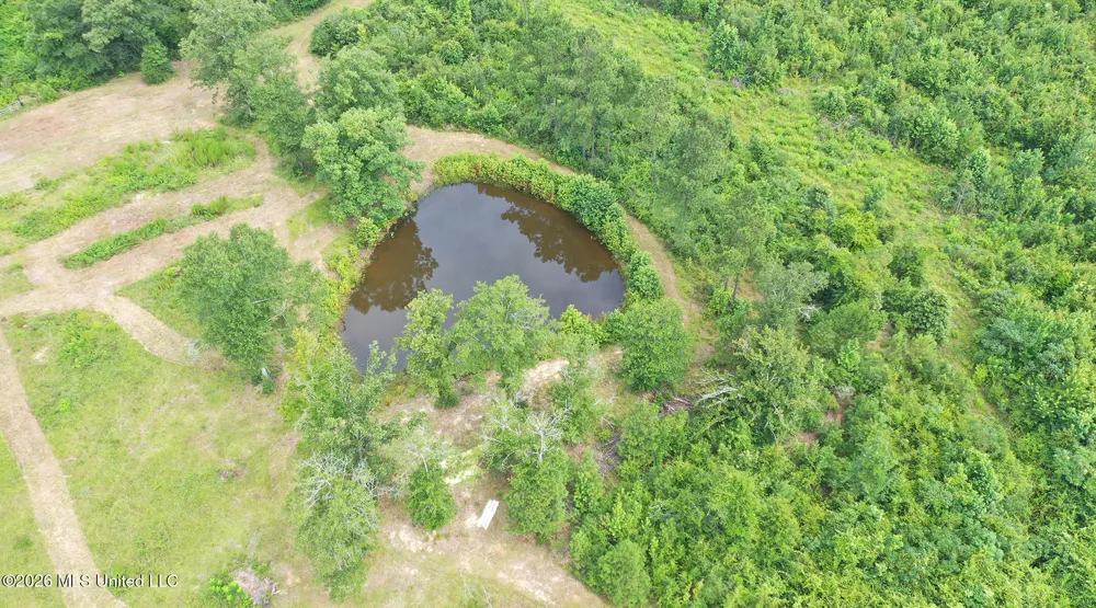 0 Ed Thomas Road Summit, MS 39666