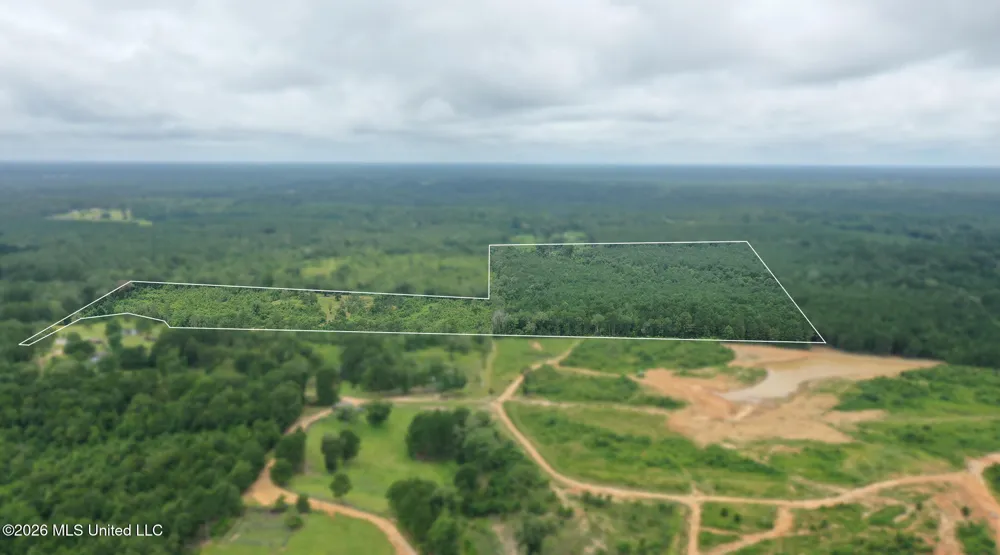 0 Ed Thomas Road Summit, MS 39666