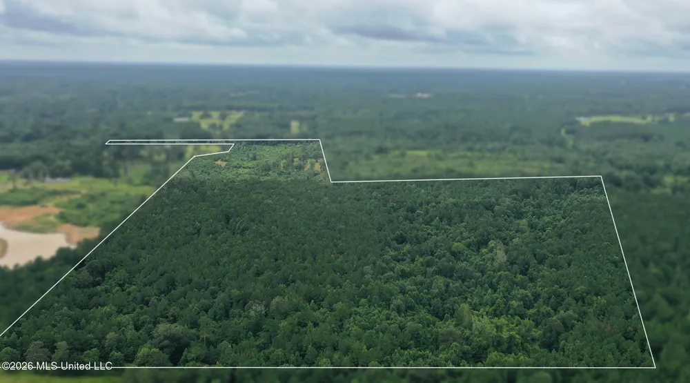0 Ed Thomas Road Summit, MS 39666