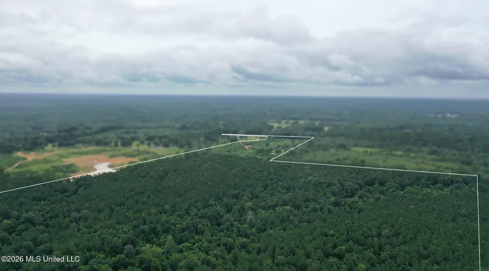 0 Ed Thomas Road Summit, MS 39666
