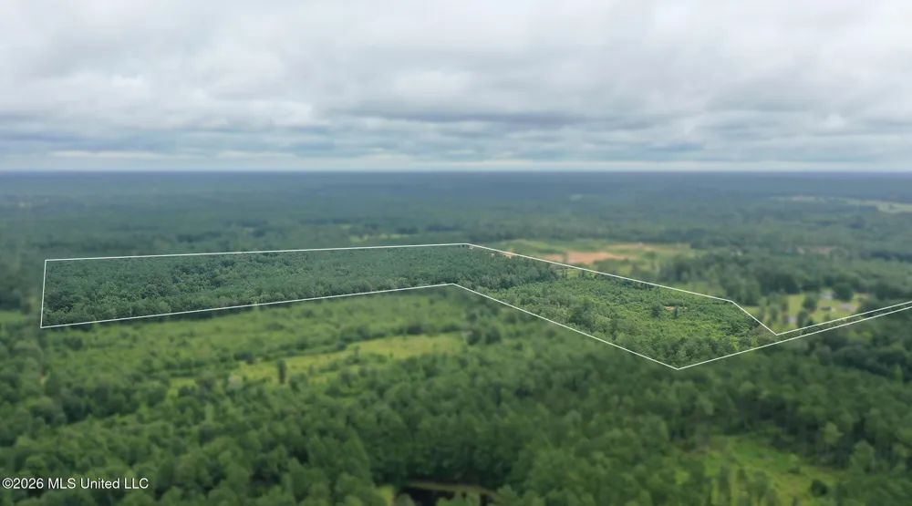 0 Ed Thomas Road Summit, MS 39666
