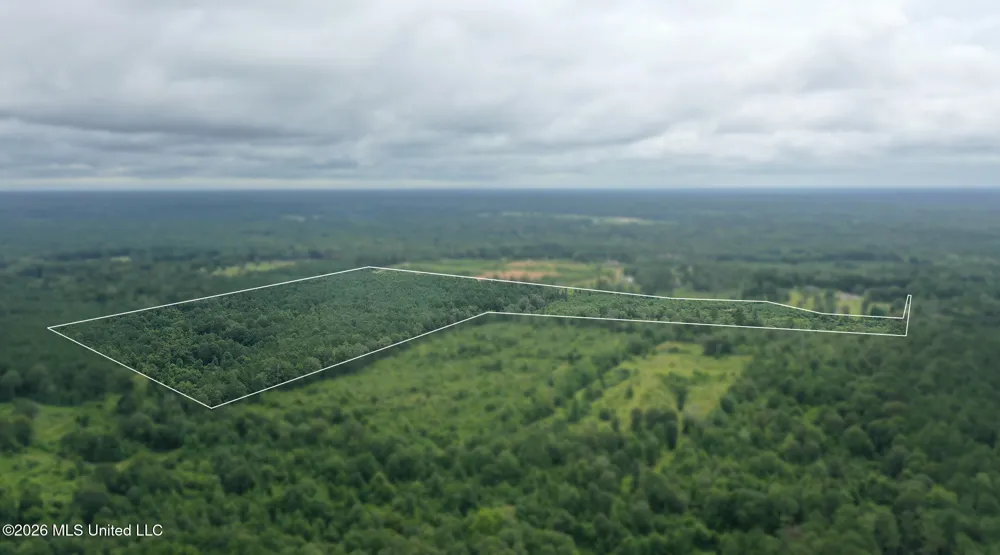 0 Ed Thomas Road Summit, MS 39666