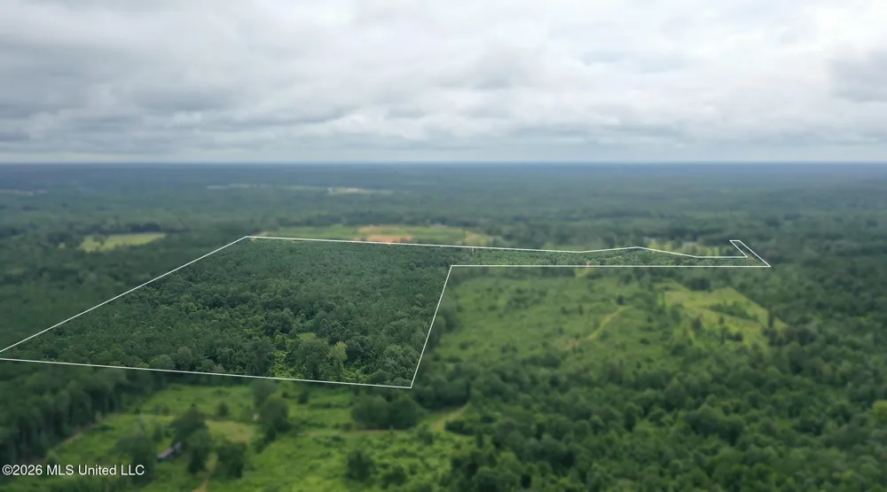 0 Ed Thomas Road Summit, MS 39666