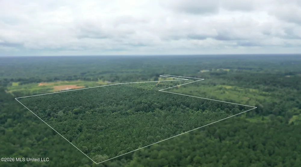 0 Ed Thomas Road Summit, MS 39666