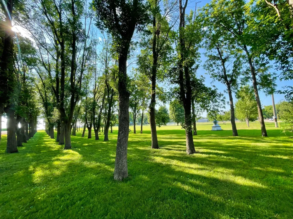 TBD Center St Clements, MN 56224