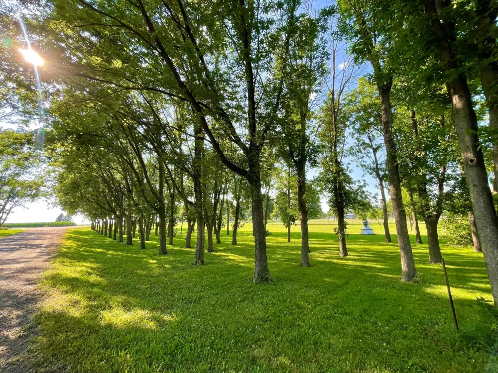 TBD Center St Clements, MN 56224