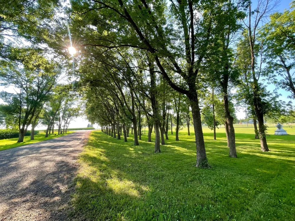TBD Center St Clements, MN 56224