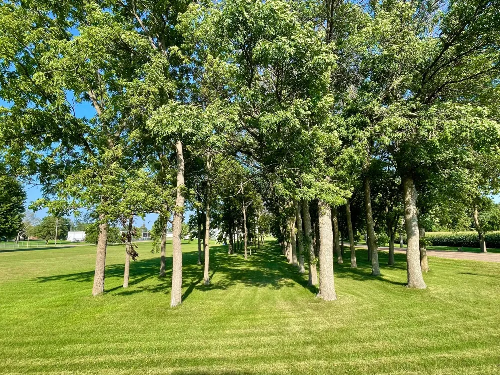 TBD Center St Clements, MN 56224