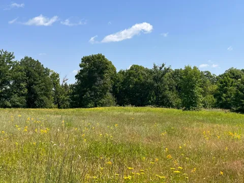 36200 County Road 39