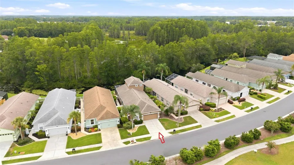 7606 BERNA LANE Land O Lakes, FL 34637