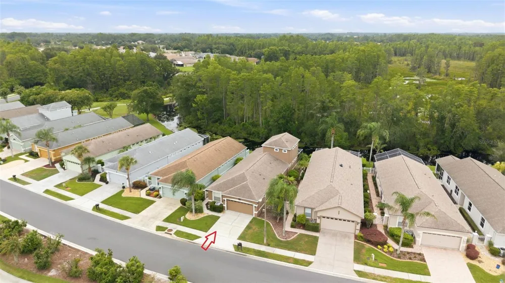 7606 BERNA LANE Land O Lakes, FL 34637