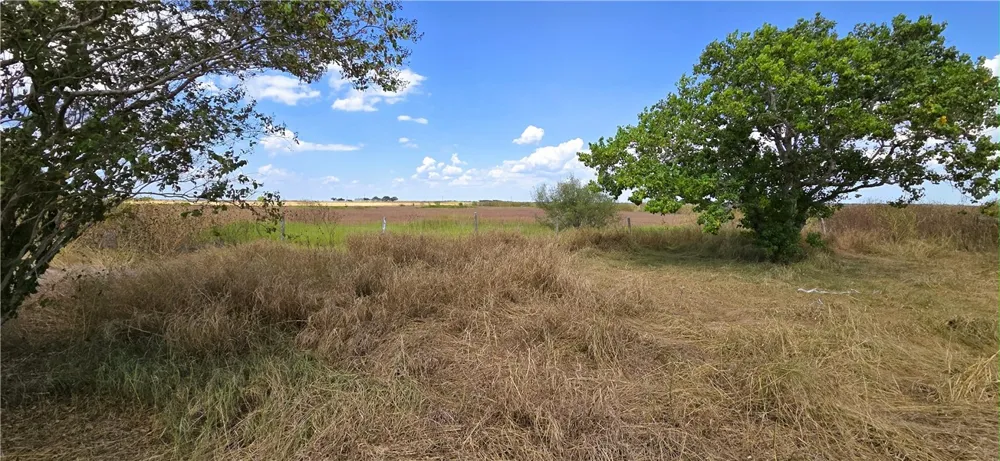 15526 County Road 1510 Odem, TX 78370
