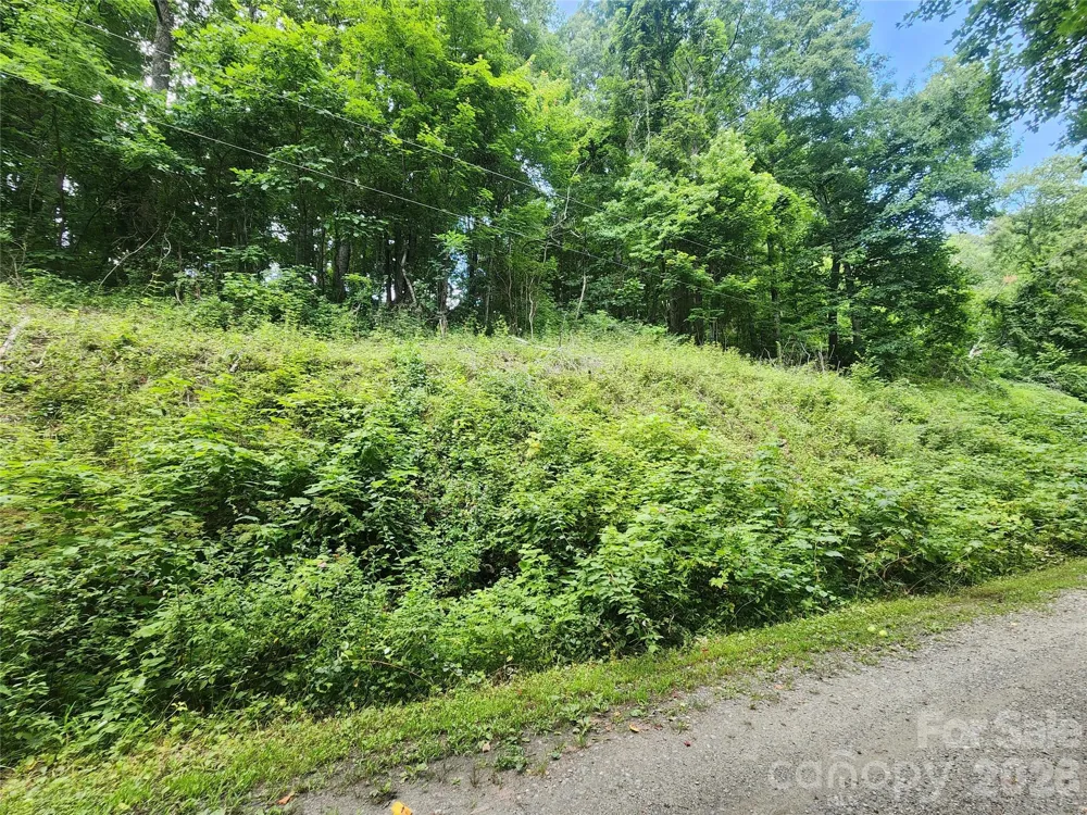 000 Jacks Knob Road Weaverville, NC 28787