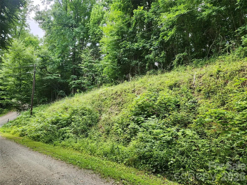 000 Jacks Knob Road Weaverville, NC 28787