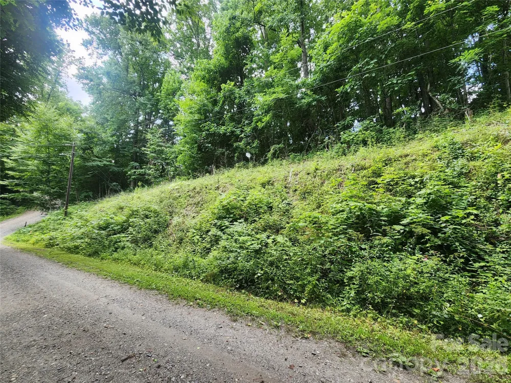 000 Jacks Knob Road Weaverville, NC 28787