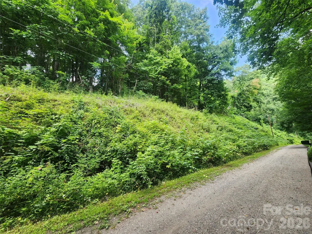 000 Jacks Knob Road Weaverville, NC 28787