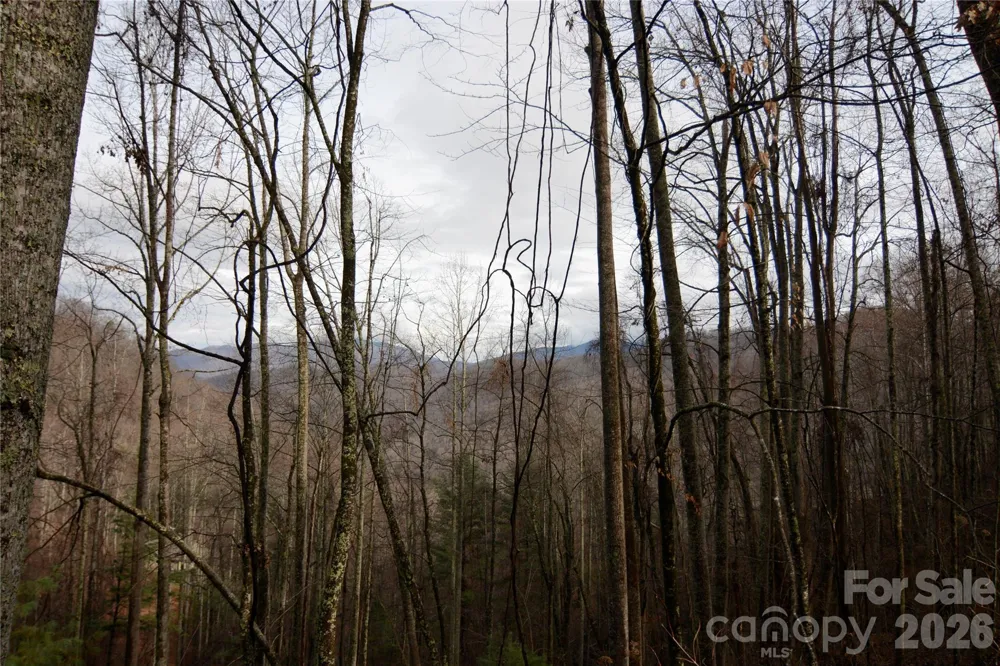 000 Jacks Knob Road Weaverville, NC 28787