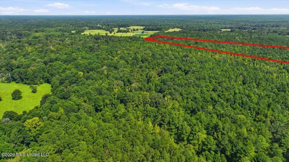 042 Potluck Road Canton, MS 39046