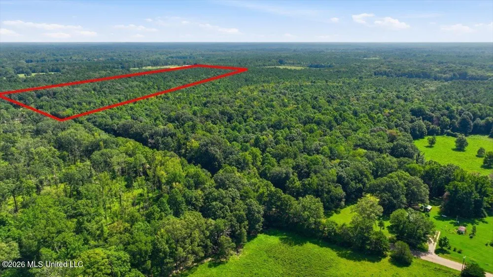 042 Potluck Road Canton, MS 39046