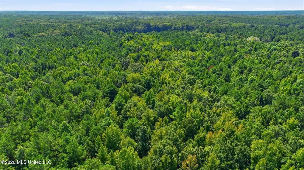 042 Potluck Road Canton, MS 39046