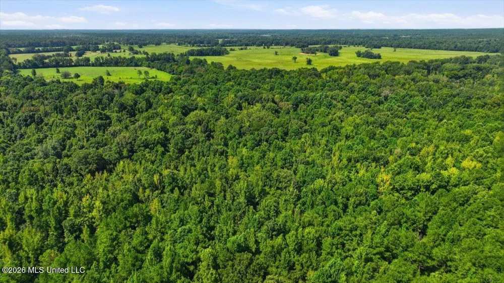 042 Potluck Road Canton, MS 39046