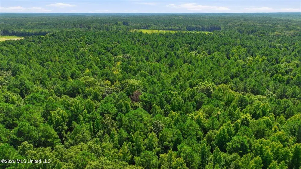 042 Potluck Road Canton, MS 39046
